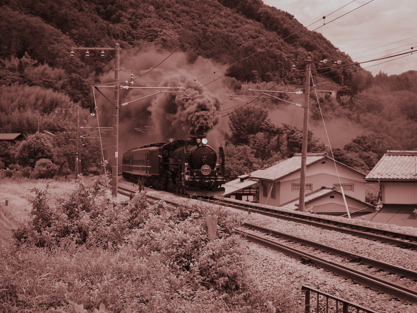 P61400250.jpg