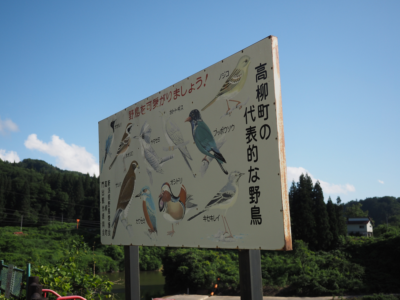 P61400259.jpg