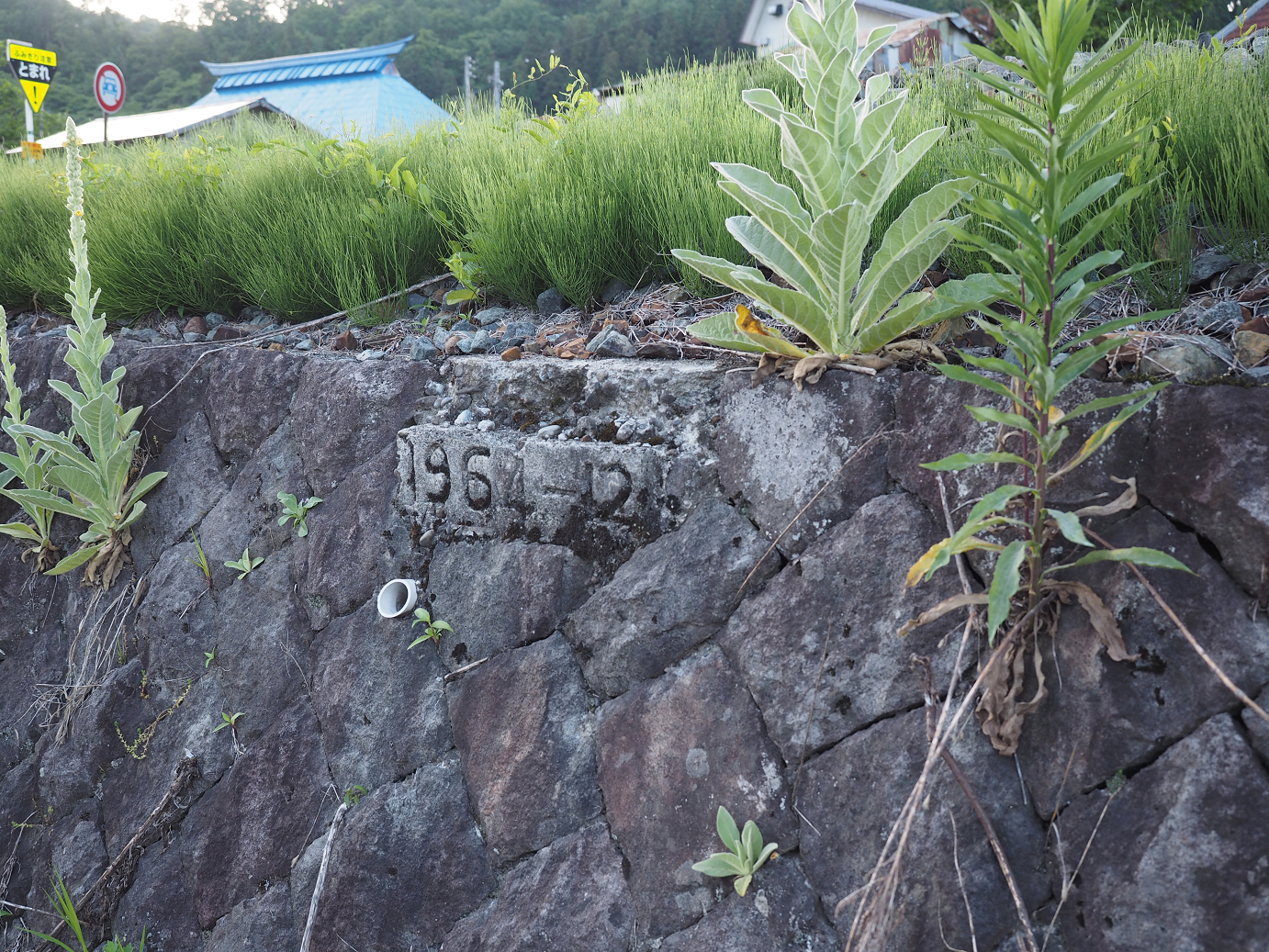 P61400451.jpg