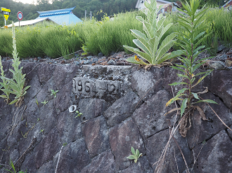 P61400451_thumb.png
