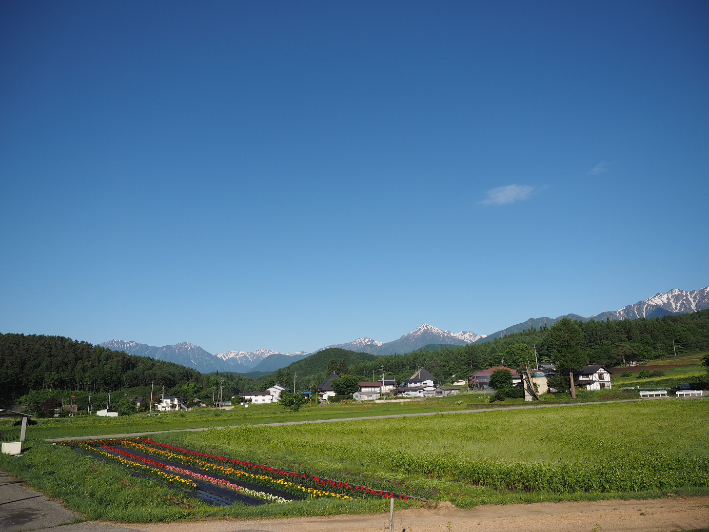 P61500009.jpg
