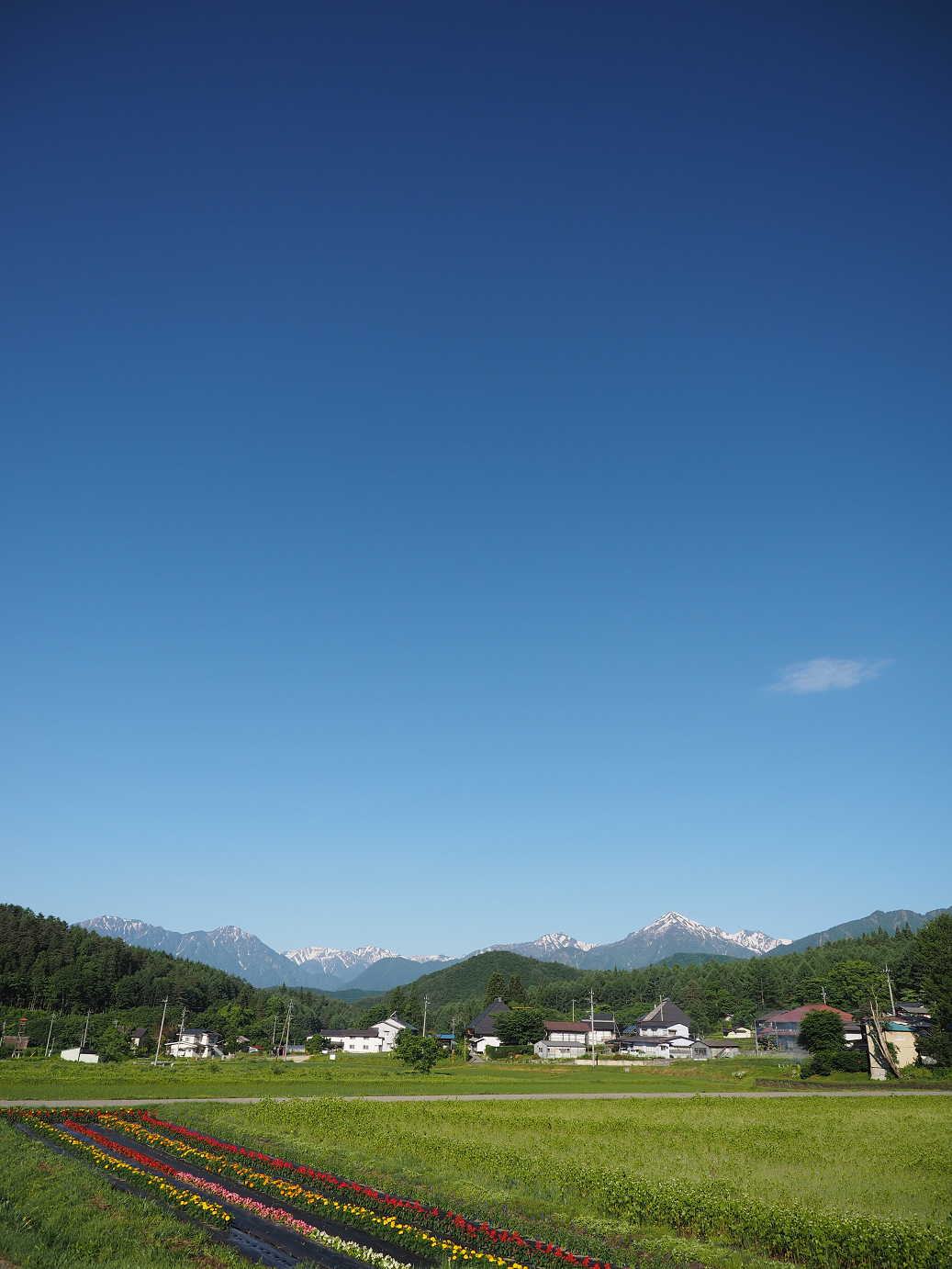 P61500011.jpg