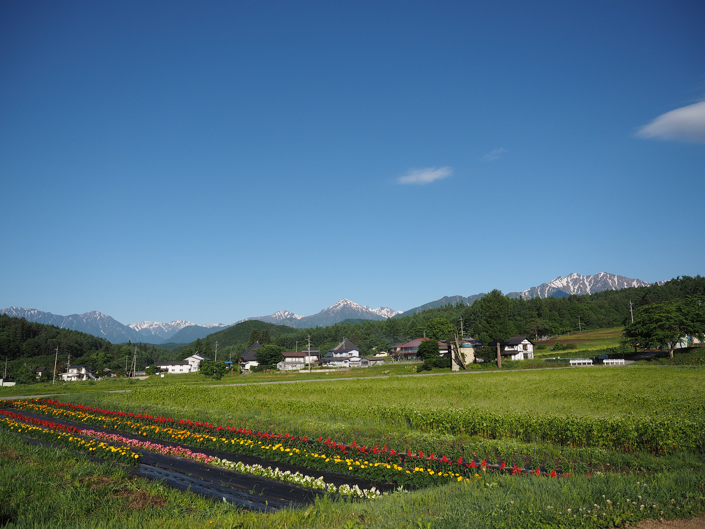 P61500015.jpg