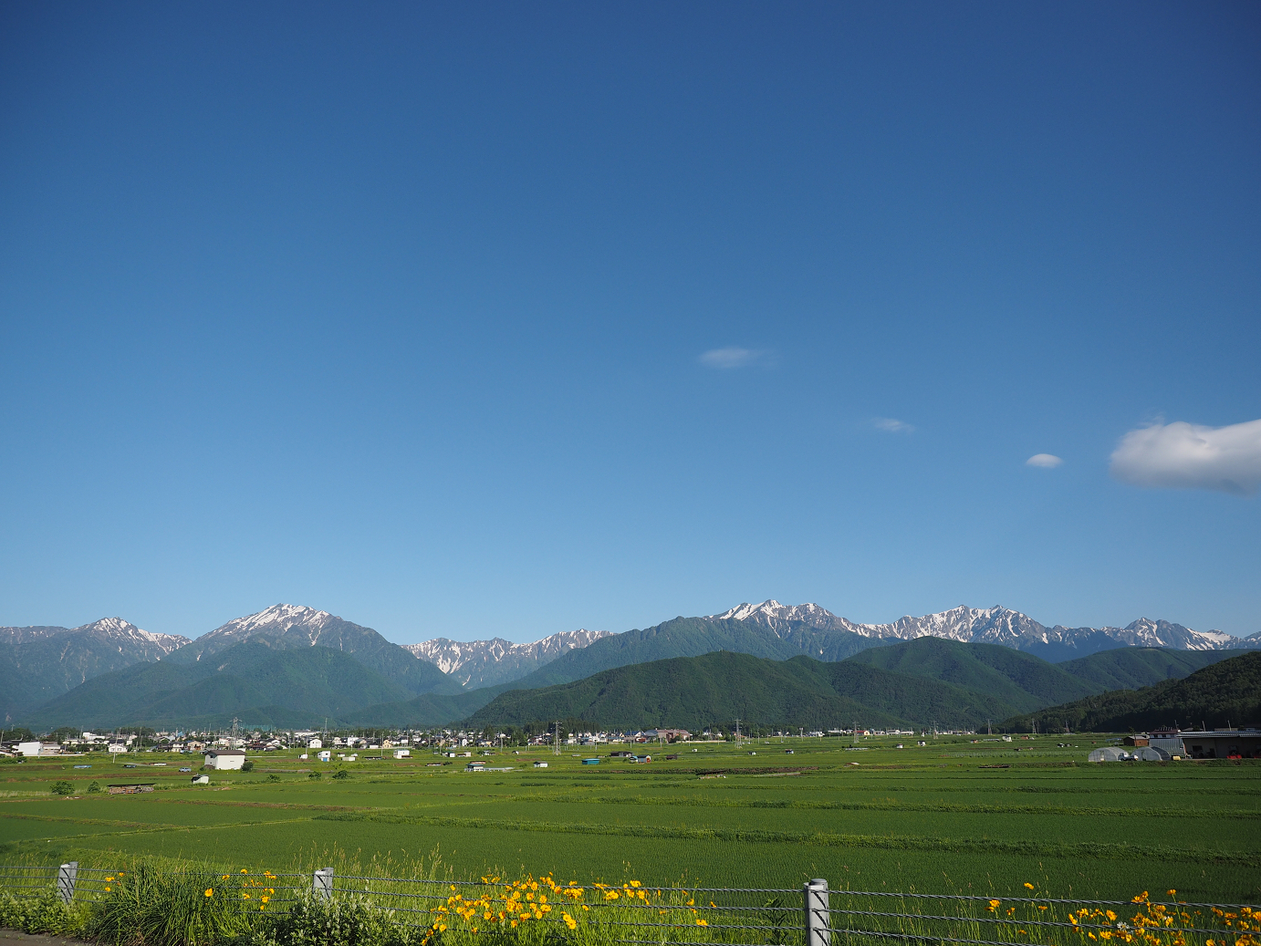P61500017.jpg