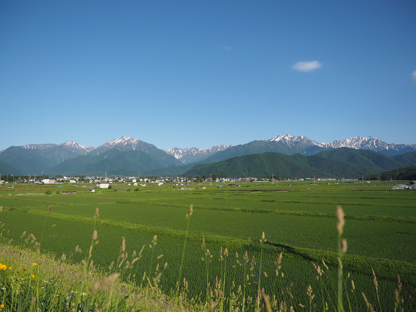 P61500033.jpg