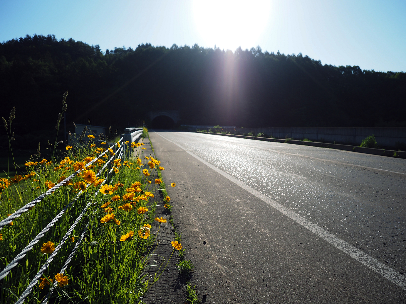 P61500035.jpg