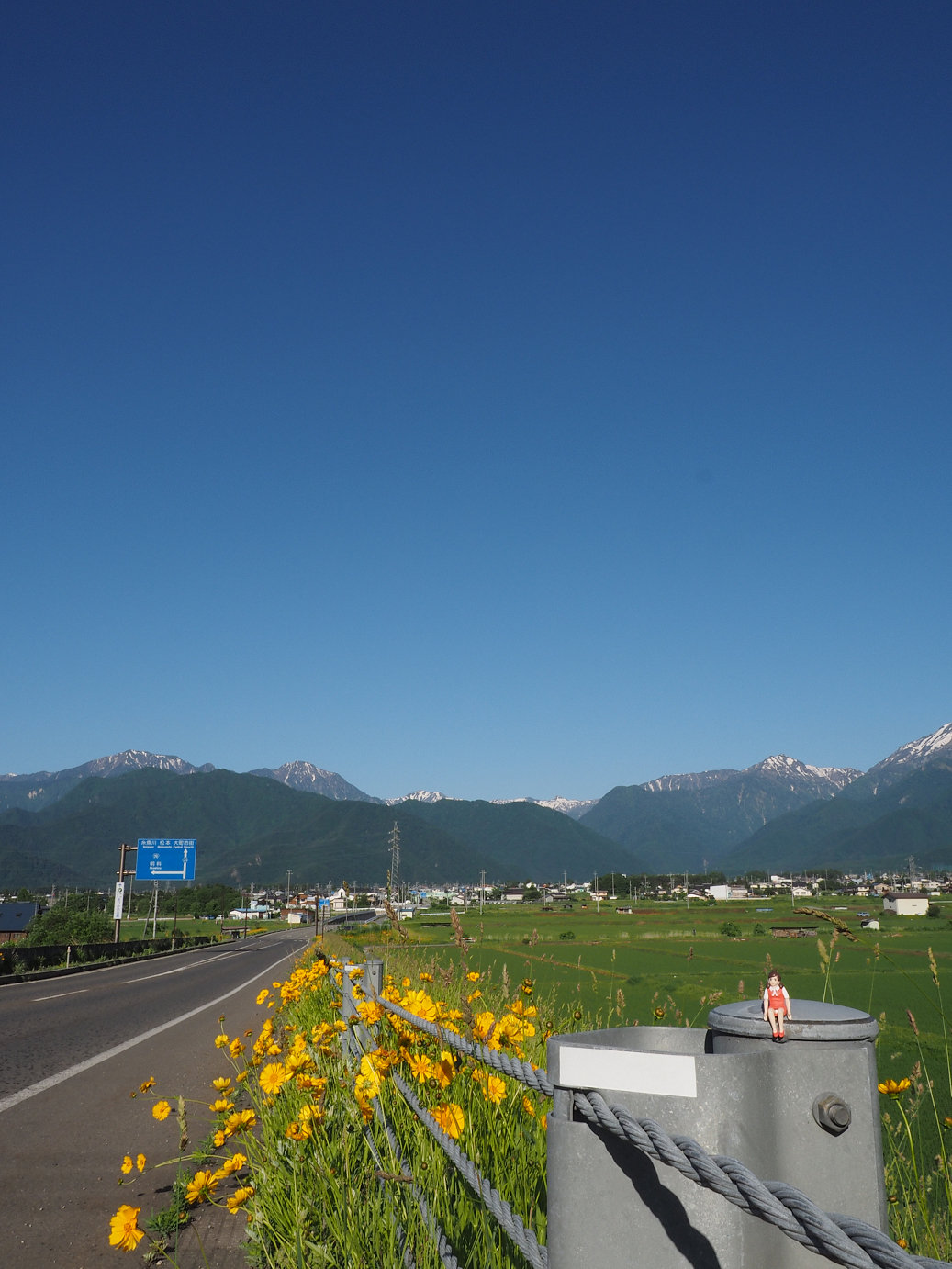 P61500043.jpg