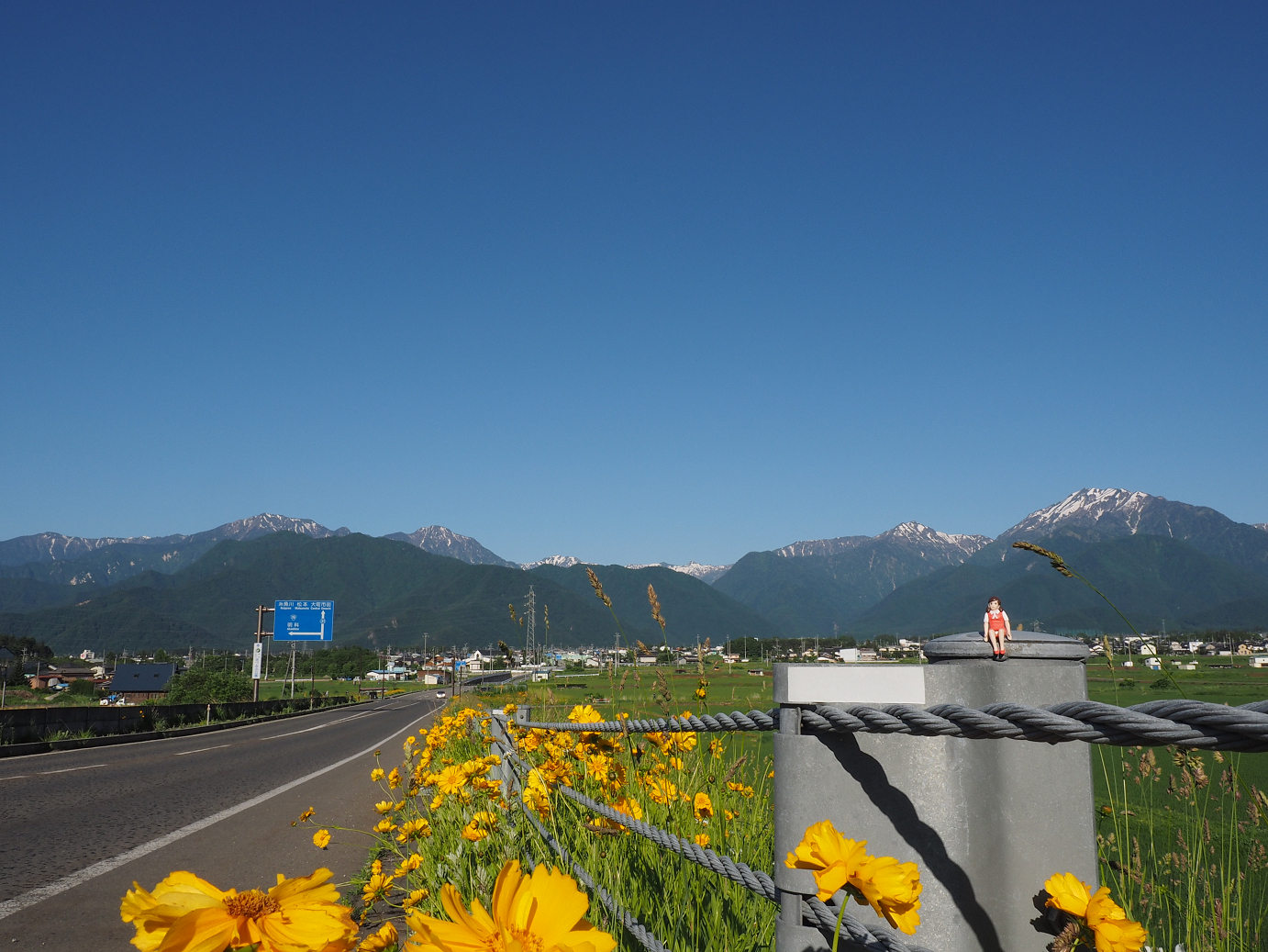 P61500045.jpg