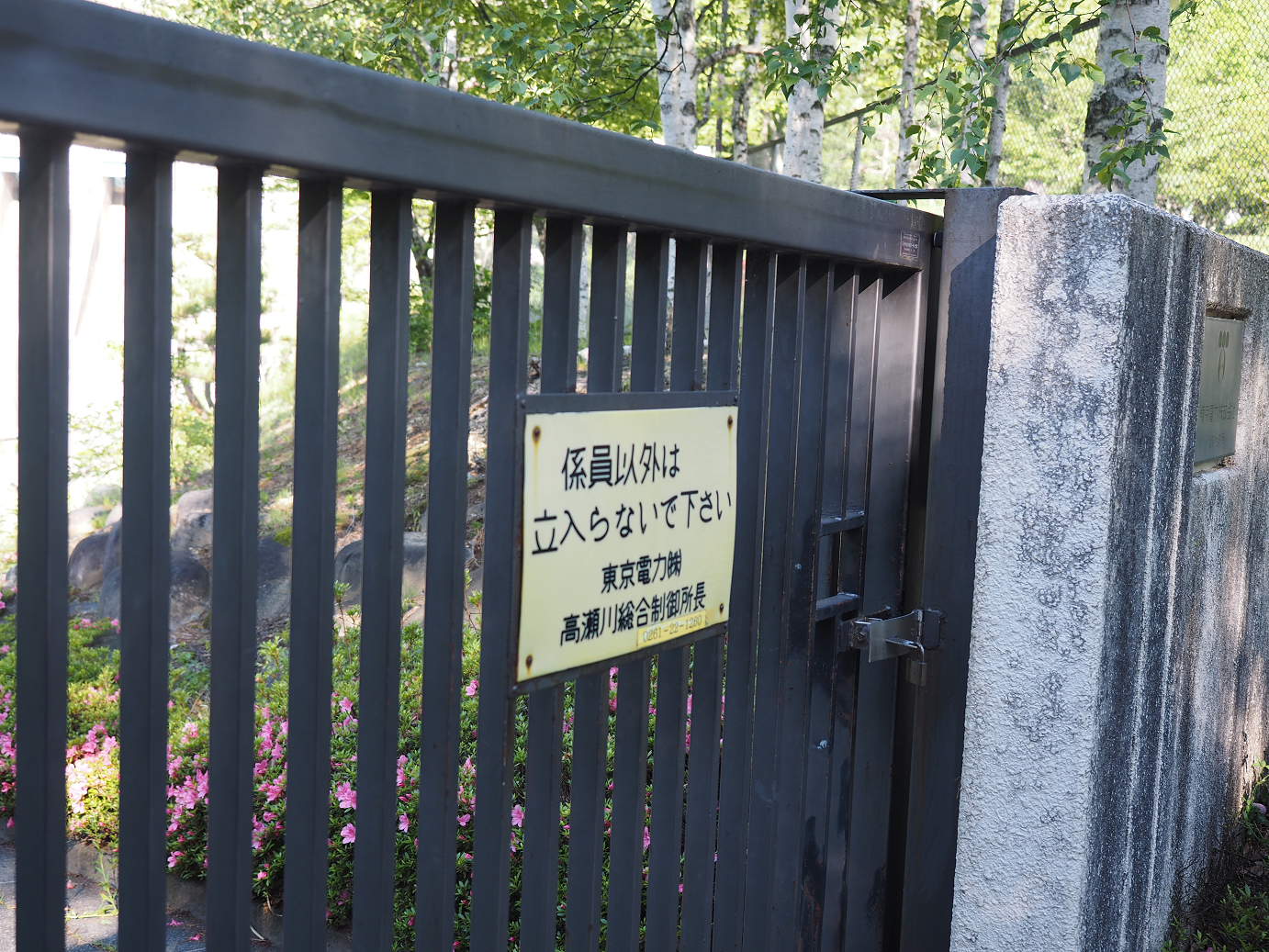 P61500061.jpg