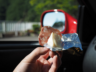 P61500109_thumb.png