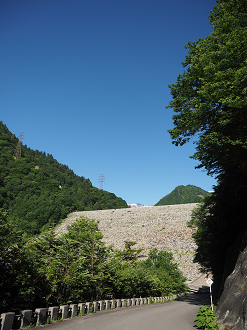 P61500113_thumb.png
