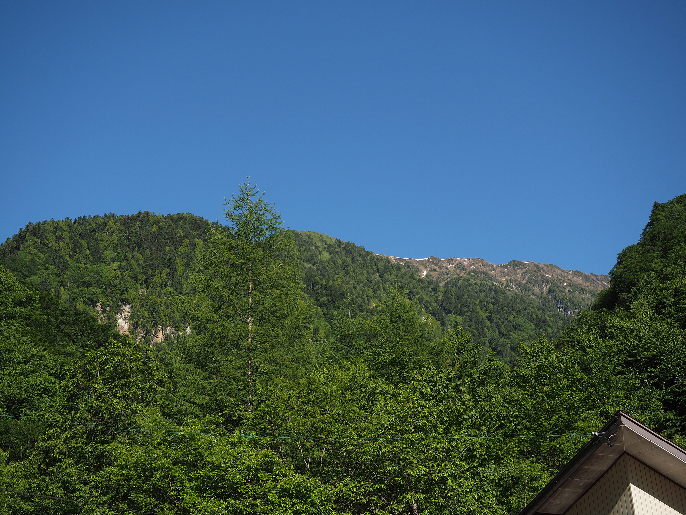 P61500121.jpg