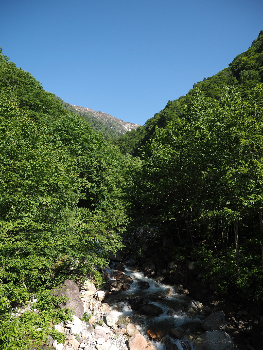 P61500151.jpg