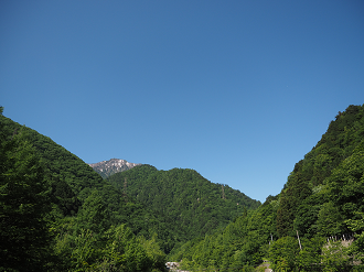 P61500175_thumb.png