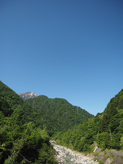 P61500177_thumb.png