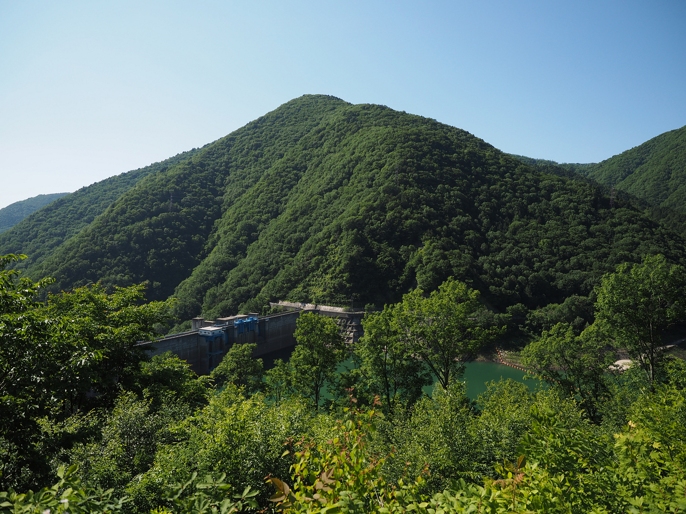 P61500187.jpg
