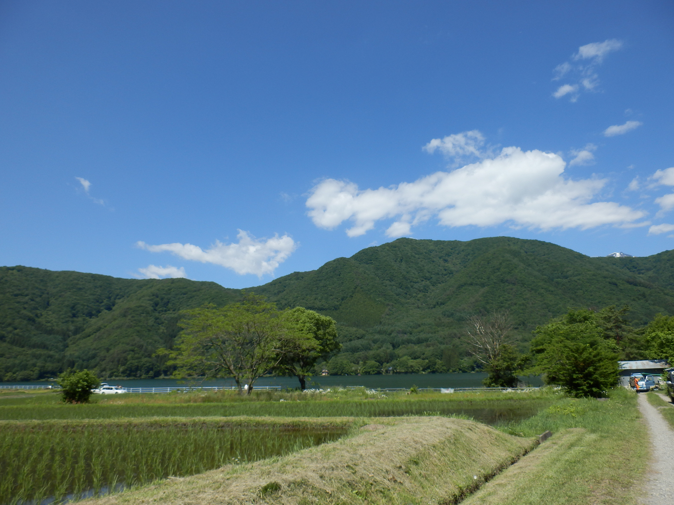 P61500265.jpg