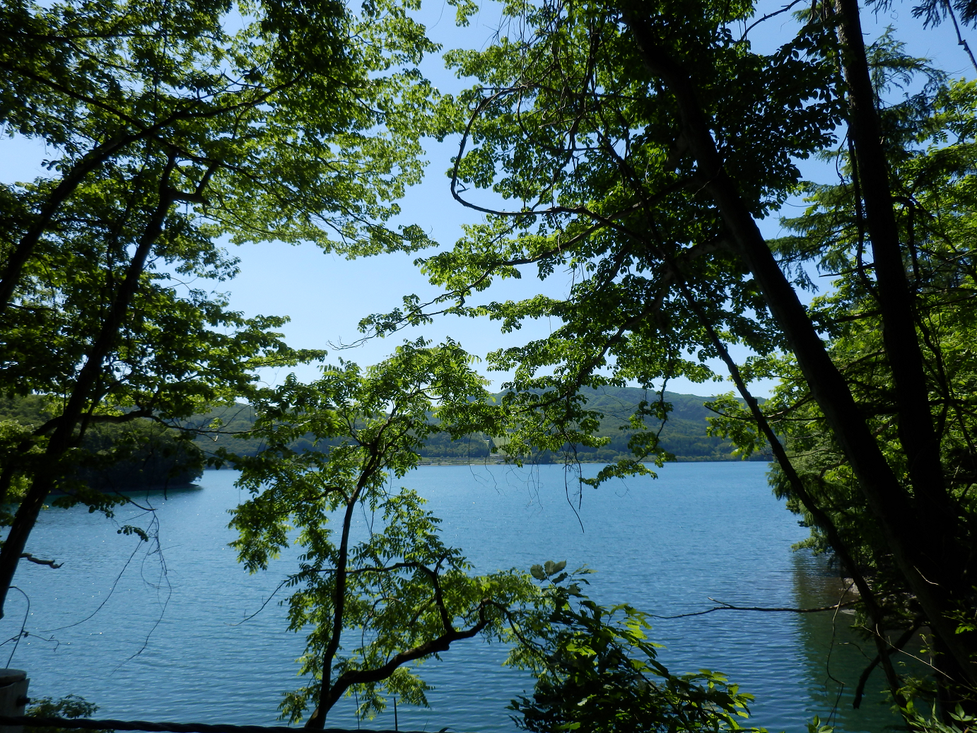 P61500275.jpg