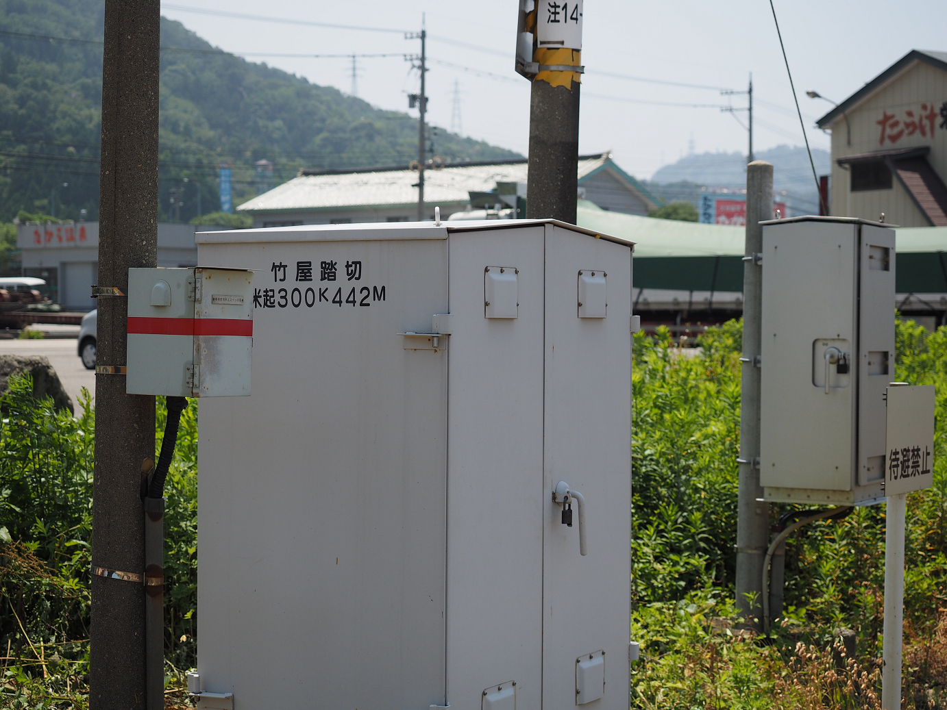 P61500391.jpg
