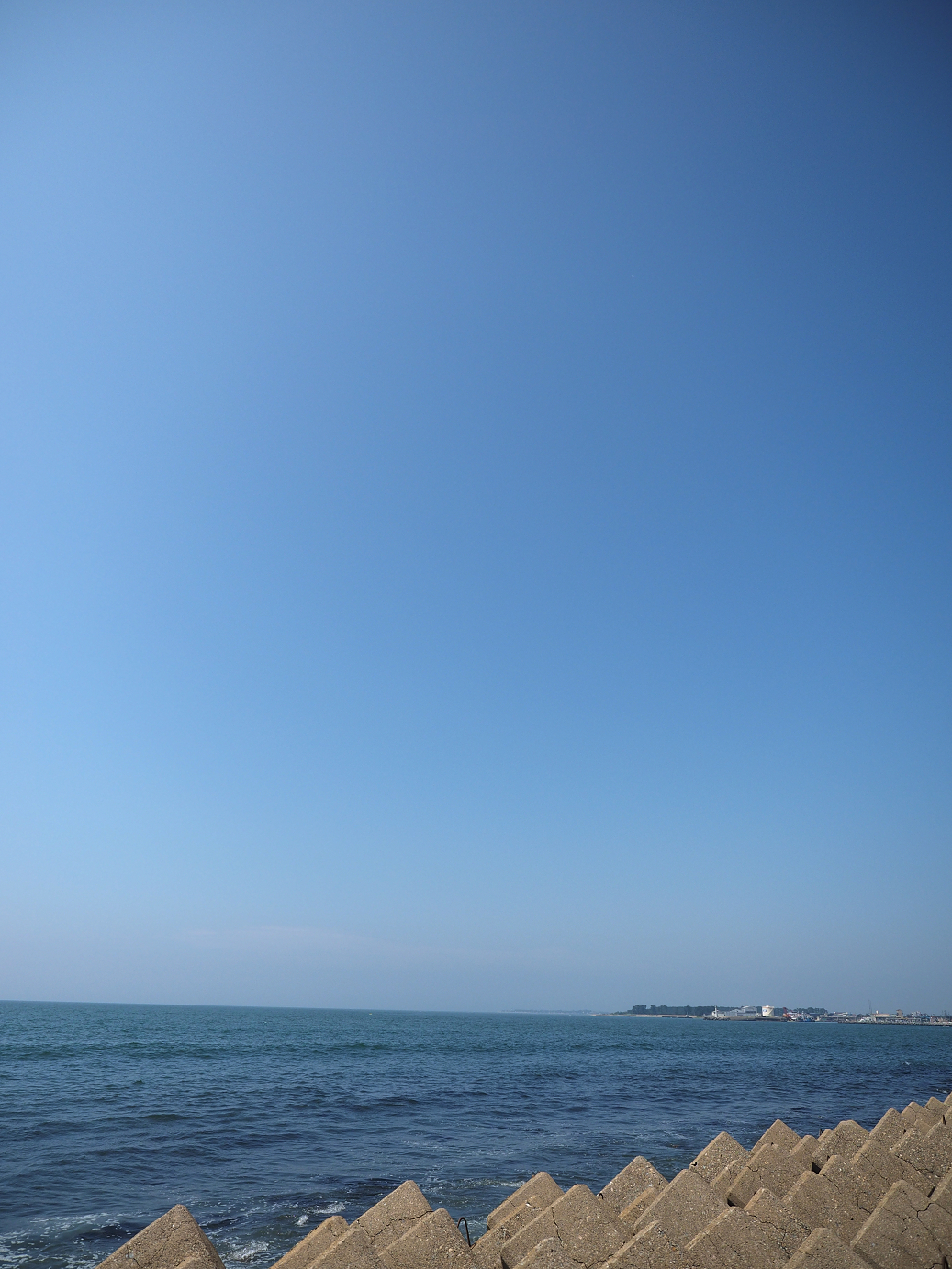 P61500485.jpg