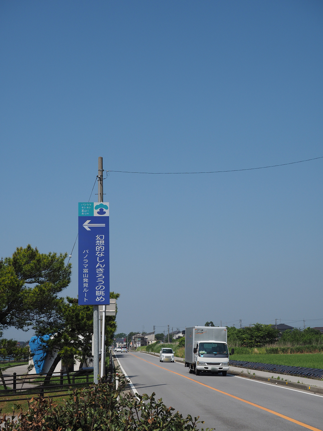 P61500495.jpg