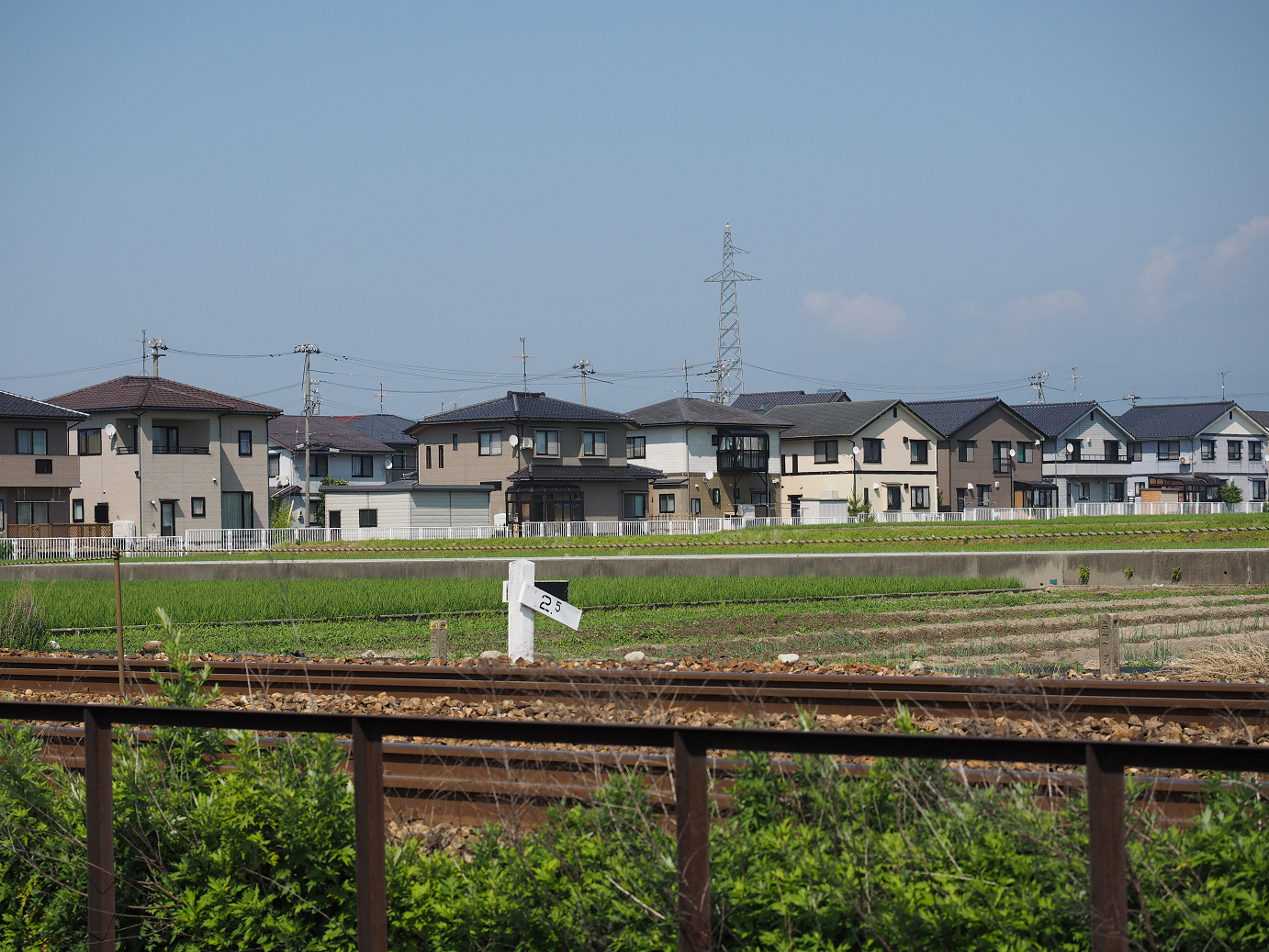 P61500541.jpg