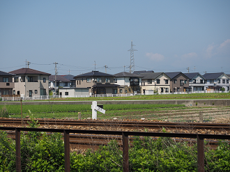 P61500541_thumb.png