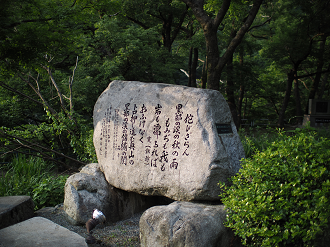 P61500629_thumb.png