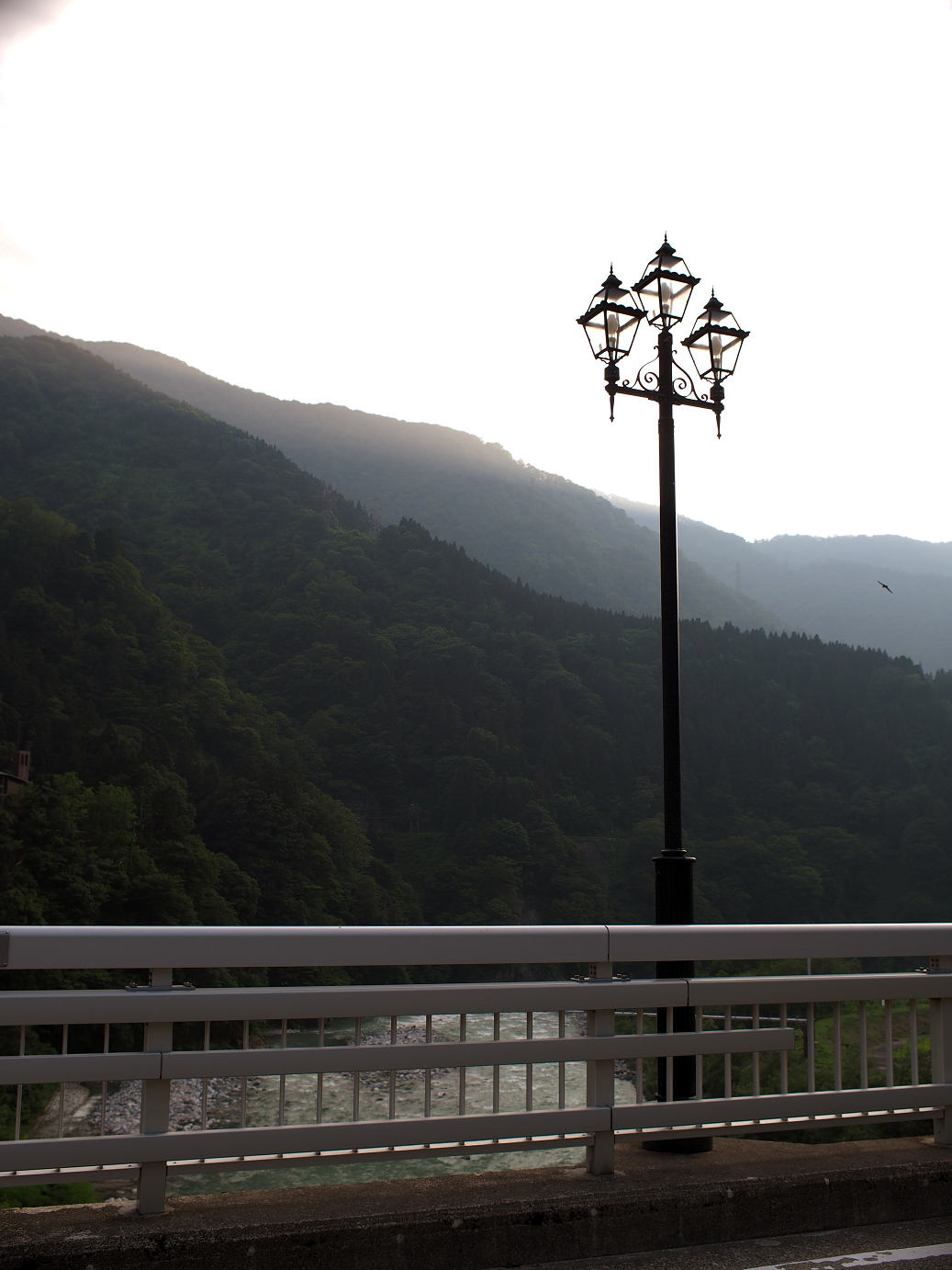 P61500649.jpg