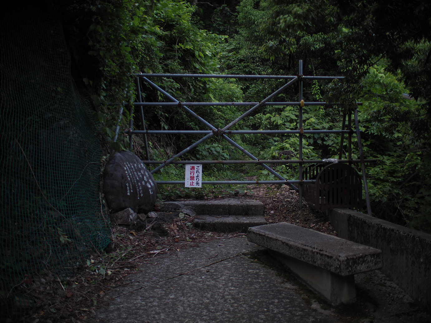 P61500657.jpg