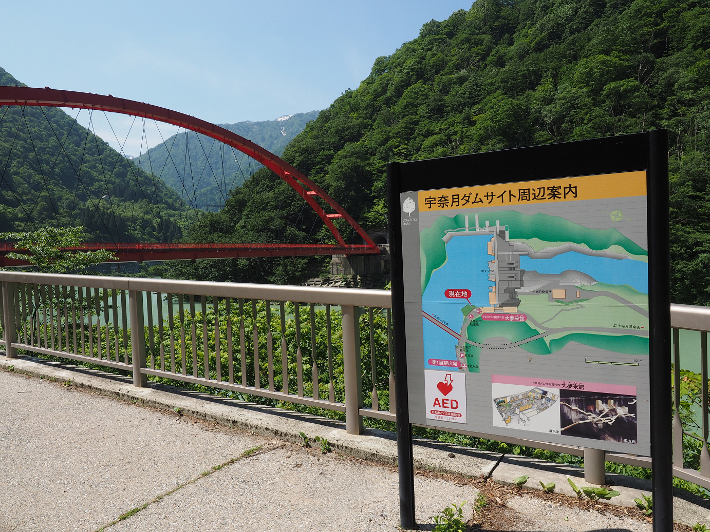 P61600135.jpg