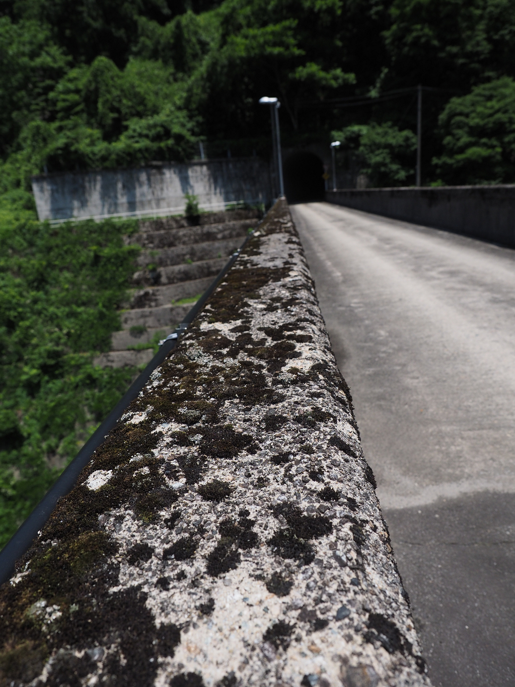 P61600169.jpg