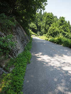 P61600219_thumb.png