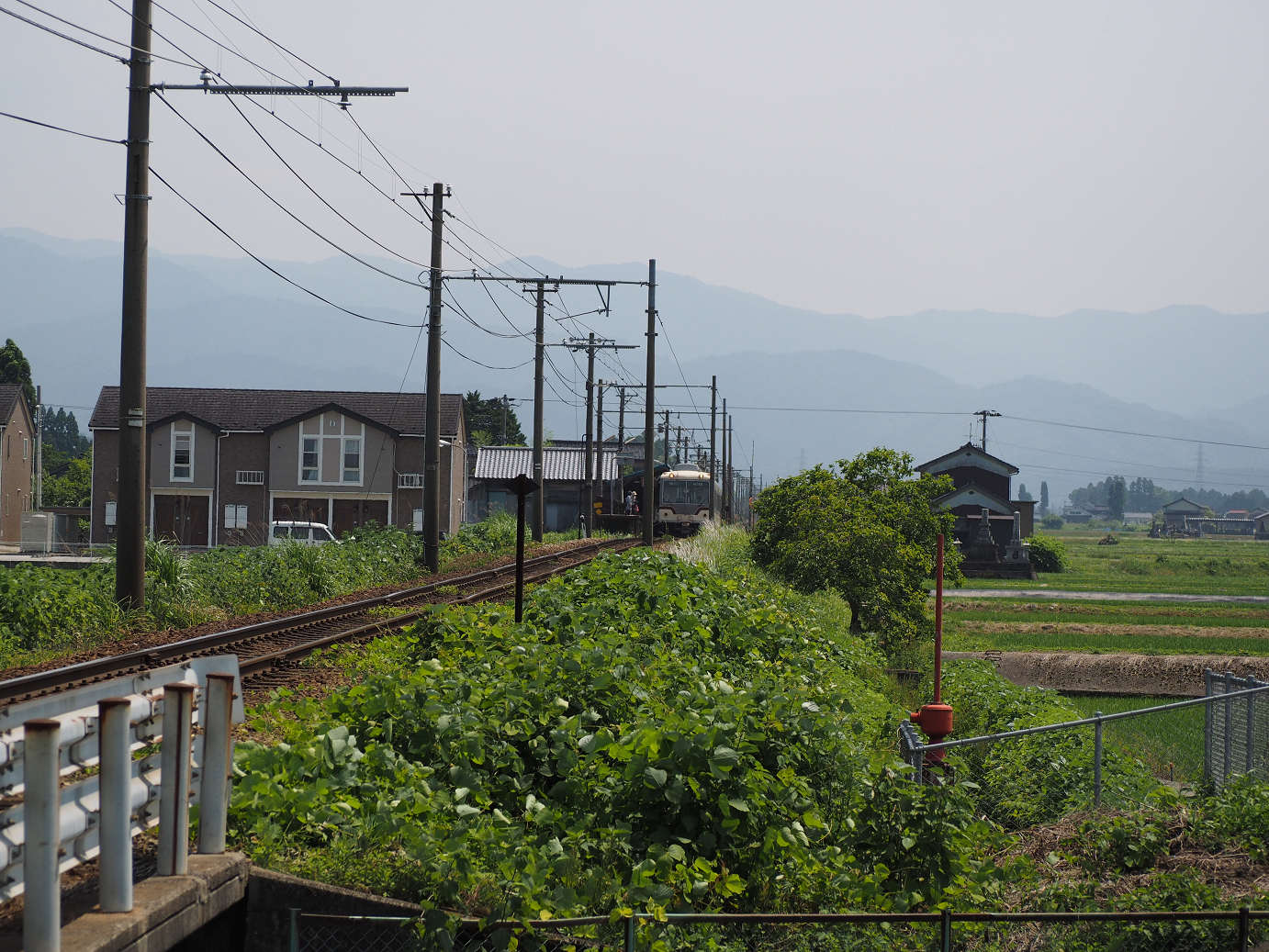 P61600301.jpg
