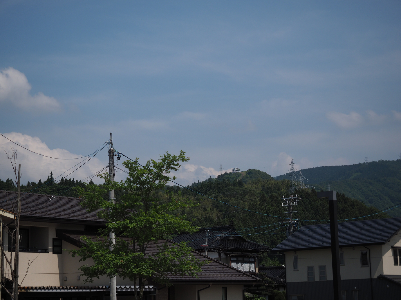 P61600393.jpg