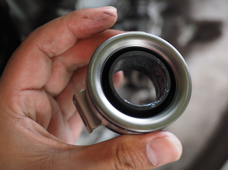 P6210025_thumb.png