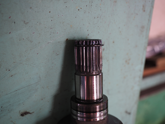 P6210071_thumb.png