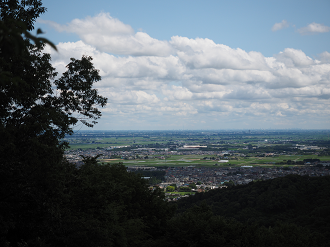 P6290193_thumb.png