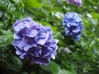 P6290323_thumb.png