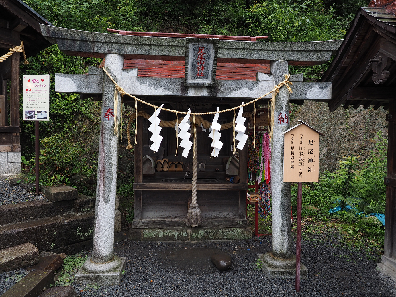 P6290349.jpg