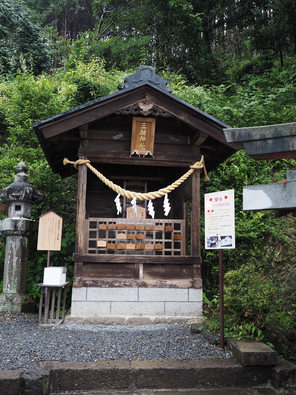 P6290350.jpg