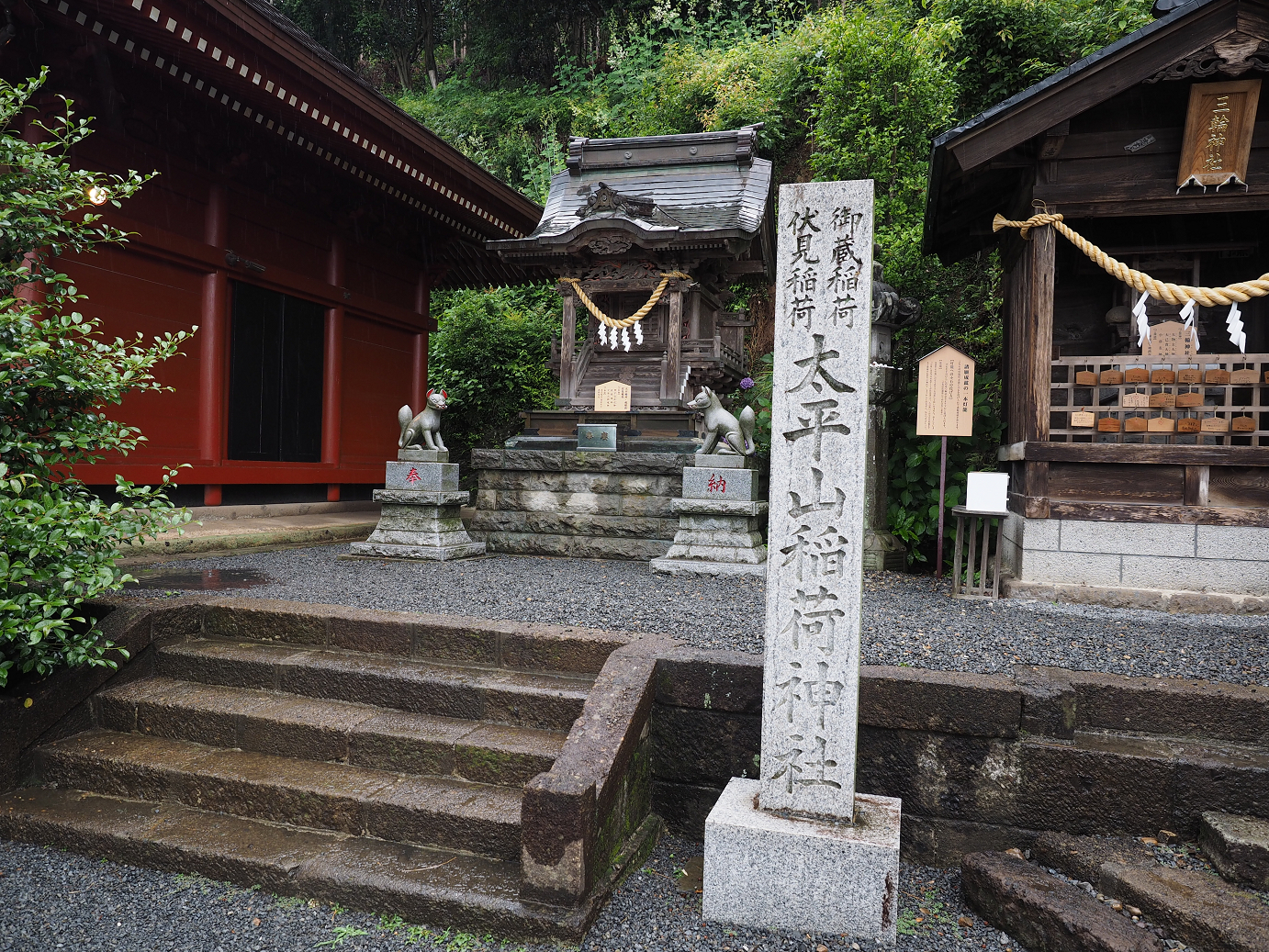 P6290352.jpg