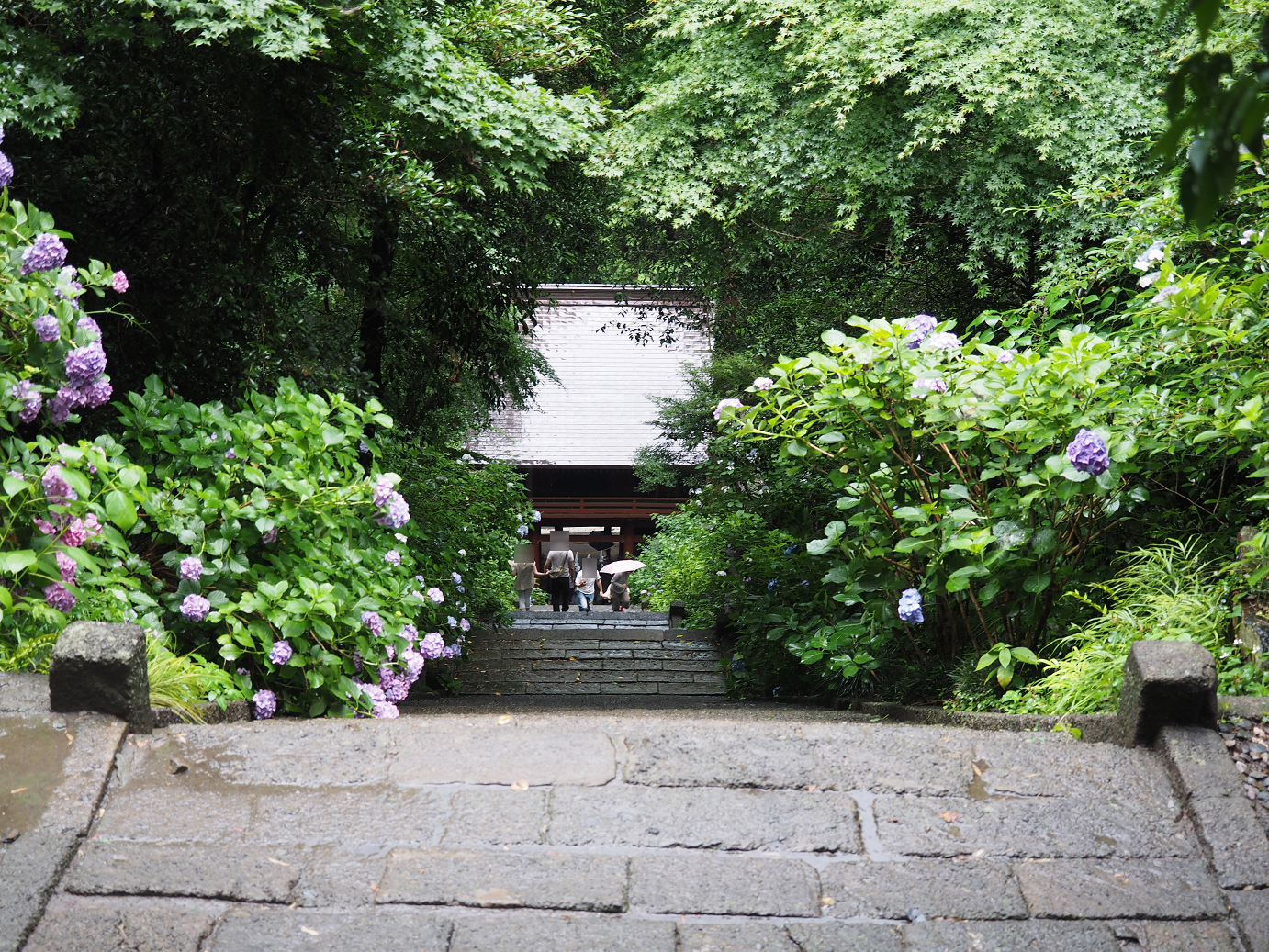 P6290386.jpg