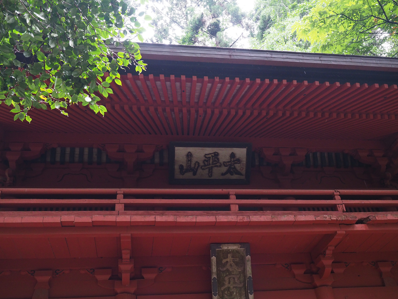 P6290405.jpg