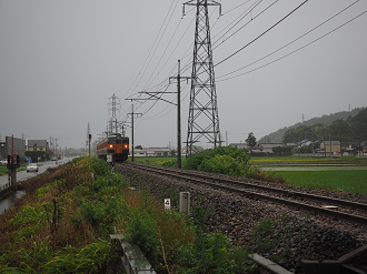 P6290411_thumb.png