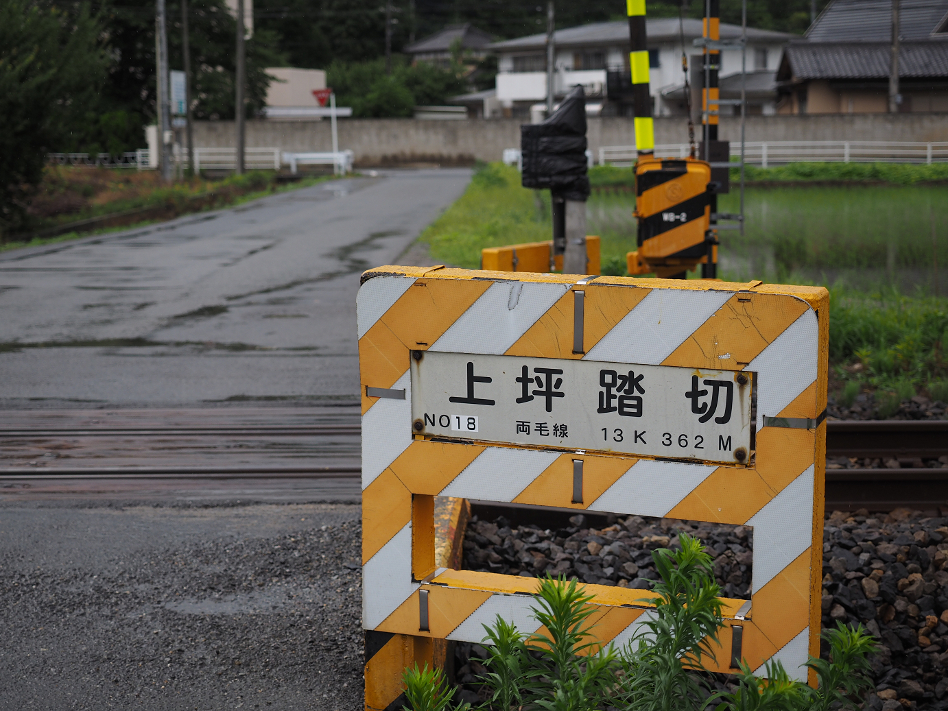 P6290445.jpg