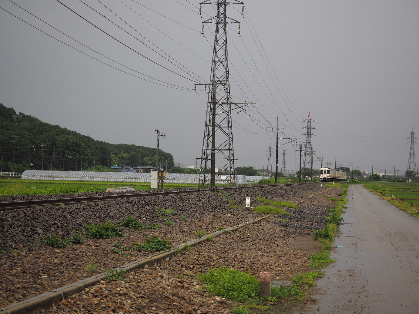 P6290448.jpg