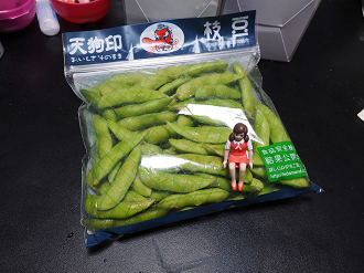 P6290493_thumb.png