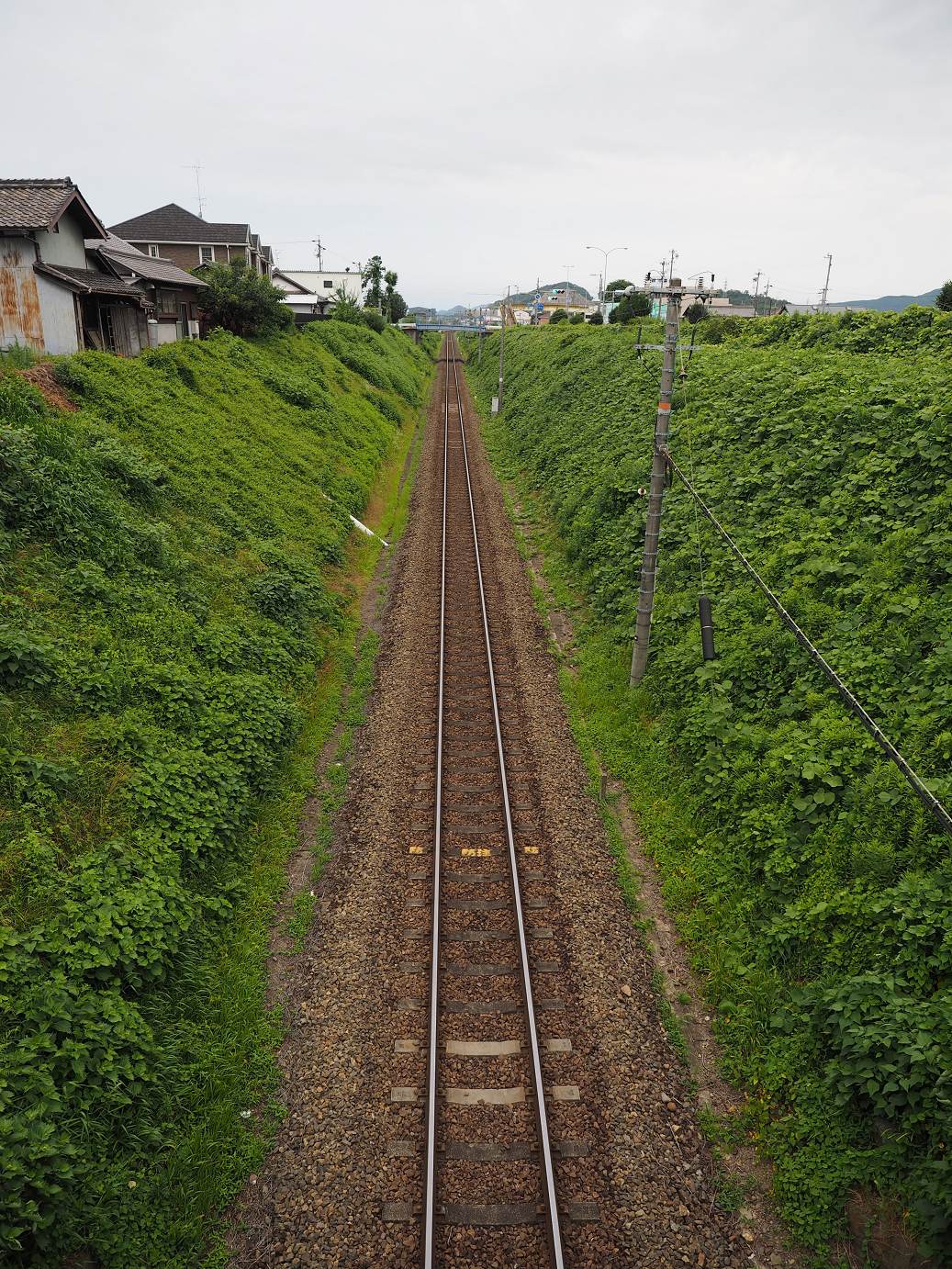 P7190031.jpg