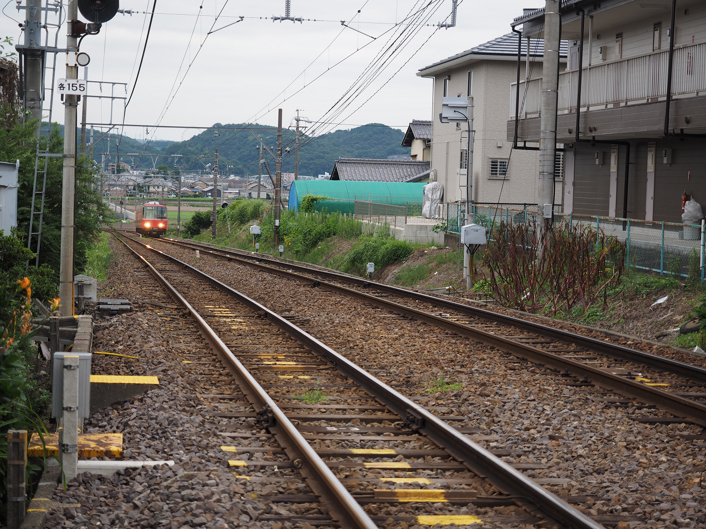 P7190040.jpg